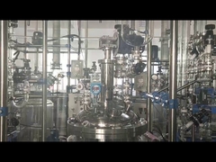 化学ガラス反応器